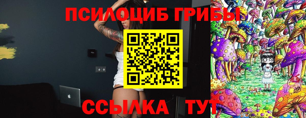 Тольятти  Галлюциногенные грибы мицелий  Вход с VPN 